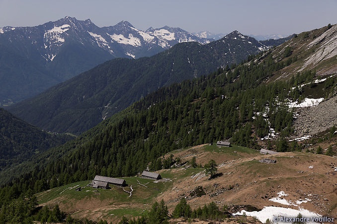 Alpe i Motti au-dessus du val Vigezzo avec le massif de Val Grande en arrière plan