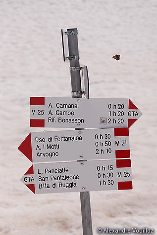 Forcola di Larecchio (nouveaux panneaux indicateurs) et papillon...