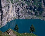 Alpes bernoises