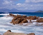 Corse