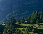 Hautes-Alpes
