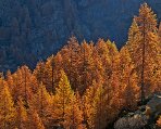Val d'Aoste, parc du Grand-Paradis