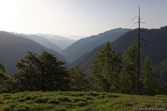 Val Onsernone  depuis Alpe Pianezza di Vocogno