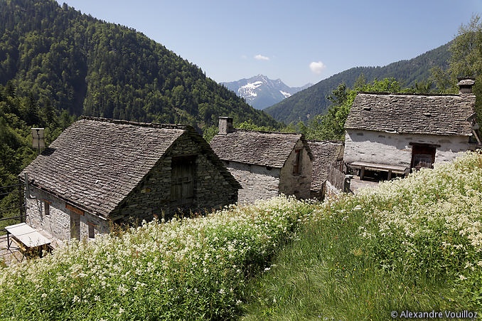 Alpages près d'Arvogno au-dessus du Val Vigezzo
