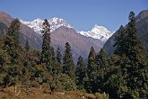 Descente de la vallée Bhillangana